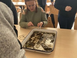 Warsztaty z studentami UP