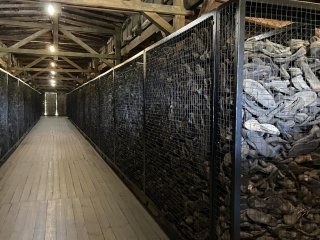 Wyjazd na Pokazy Fizyczne i zwiedzanie Narodowego Muzeum na Majdanku