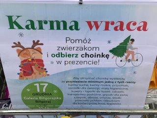 Wolontariuszki ze SK PCK 