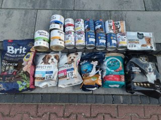 Wolontariuszki ze SK PCK 