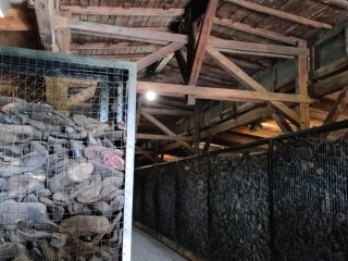 Pokazy Fizyczne w UMCS w Lublinie