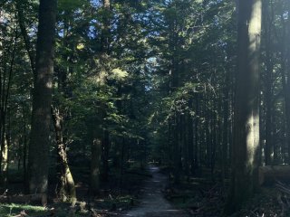 Rajd Szkolnego Koła Caritas po Roztoczańskim Parku Narodowym