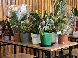 Akcja charytatywna dla Karola Ziomka