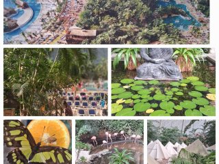 Projekt Mobilności Programu Erasmus +  2024-1-PL01-KA121-VET-000200233 AKREDYTACJA RUNDA III