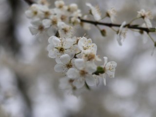 Warsztaty dla laureatów konkursu Człowiek w Środowisku