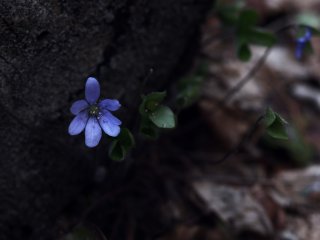 Warsztaty dla laureatów konkursu Człowiek w Środowisku