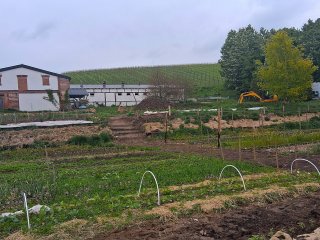 „Jesteśmy młodzi – jesteśmy eko”