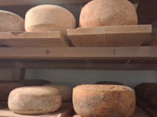 „Jesteśmy młodzi – jesteśmy eko”