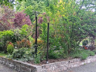 „Jesteśmy młodzi – jesteśmy eko”