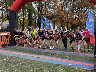 Budowlanka 10 w Polsce!!!