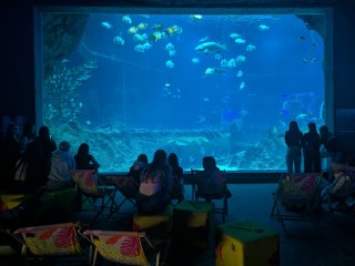 Wyjazd klas 4c i 4b LO do Łodzi