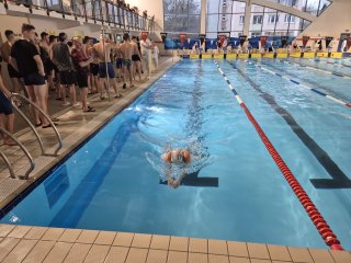 Finał Mistrzostw Wojewódzkiej Licealiady w Pływaniu